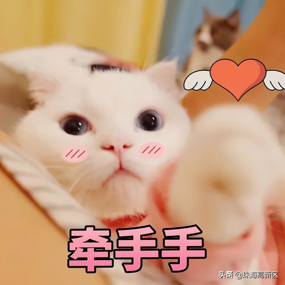 珠海美食打卡圣地景区介绍,珠海夜景美食网红打卡地景点