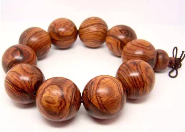 木头视频大全完整,木头全集完整版