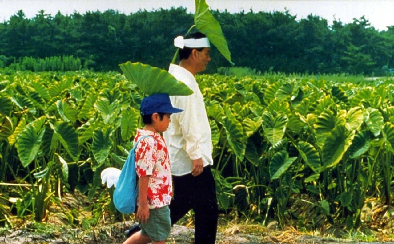 《西小河的夏天》歌曲剪辑版,西小河的夏天免费完整版