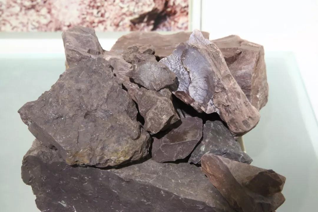 我买的茶壶,红皮龙容天紫砂壶适合泡什么茶