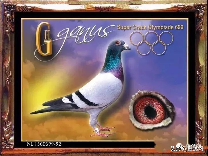 传奇后代,甘纳斯金马斯顿图片