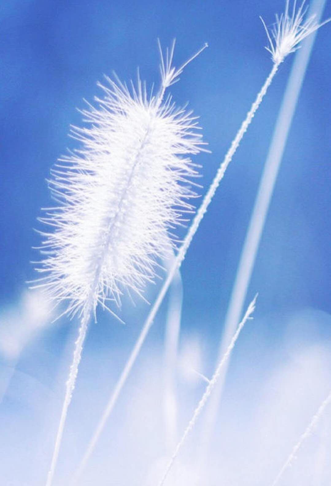 怎样消除恐惧焦虑,如何缓解内心的恐惧