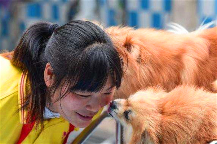 狗狗亲主人脸是什么意思,爱犬和狗接吻的危害