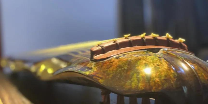 蔡伟艺古琴是真的吗,蔡伟艺蕉叶古琴