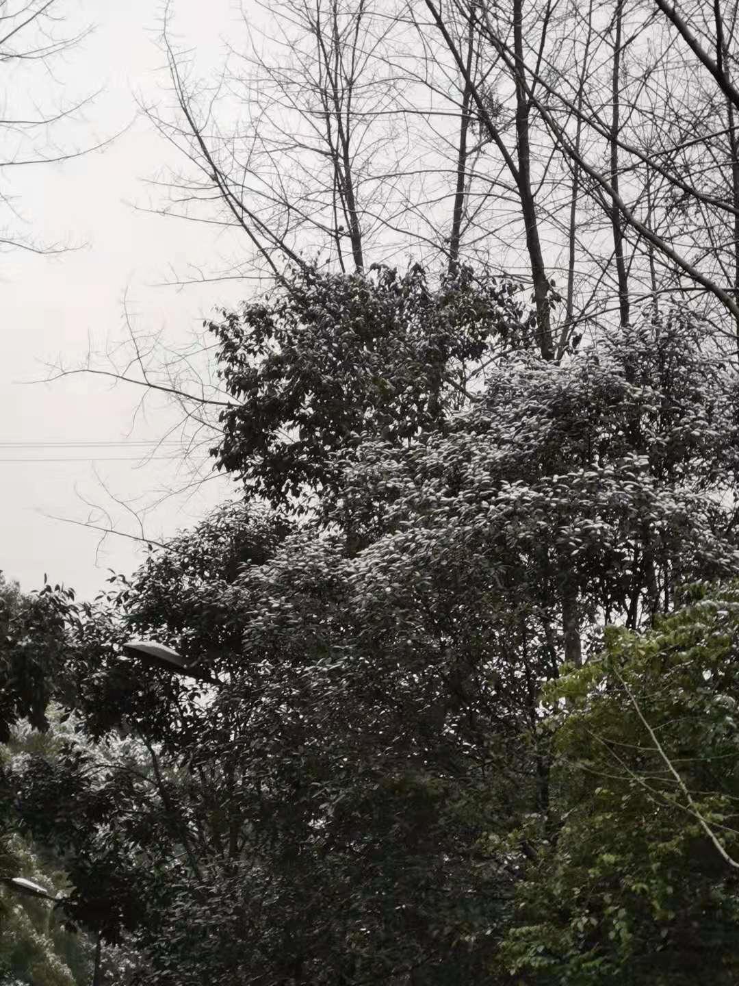遵义金鼎山雪景,雪景景区推荐遵义
