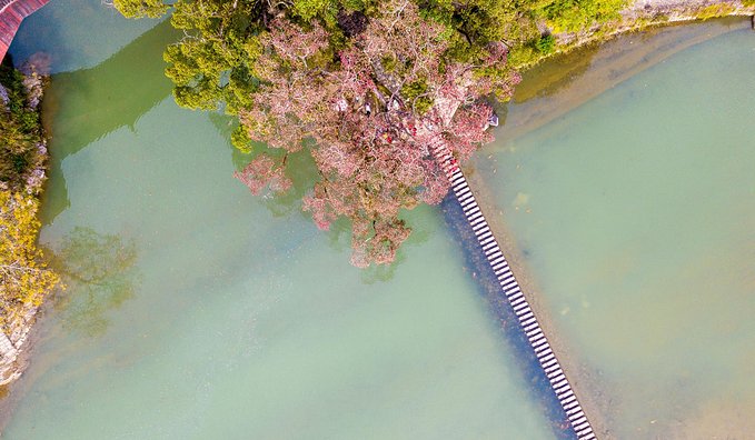 一起游玩泰顺,小众旅游泰顺