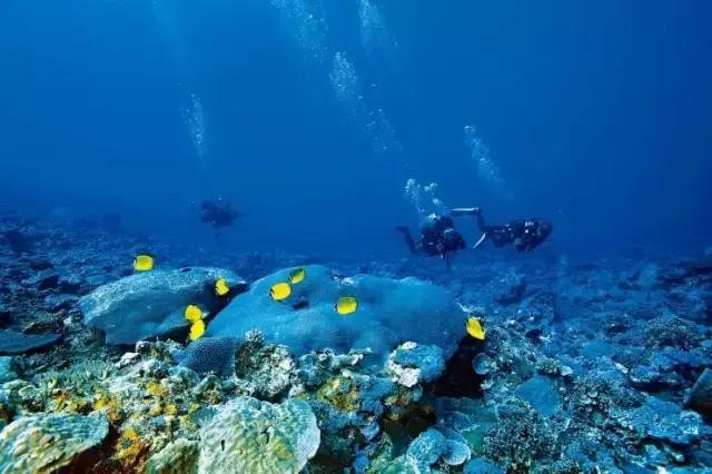 杨颖黎族海岛素颜照,海岛素颜照