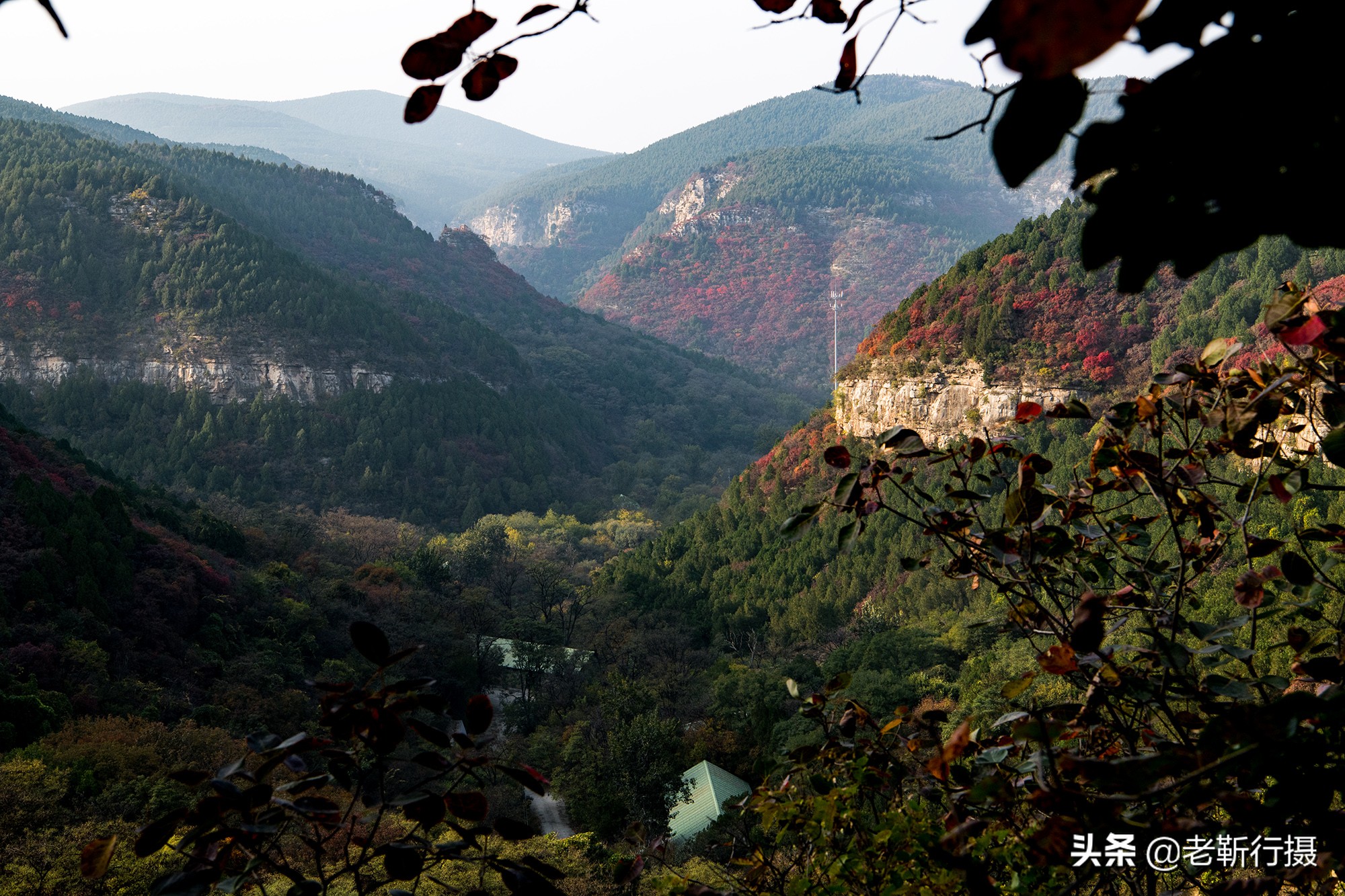 济南近郊赏红叶攻略无门票小众,济南红叶谷今年最佳观赏红叶时间