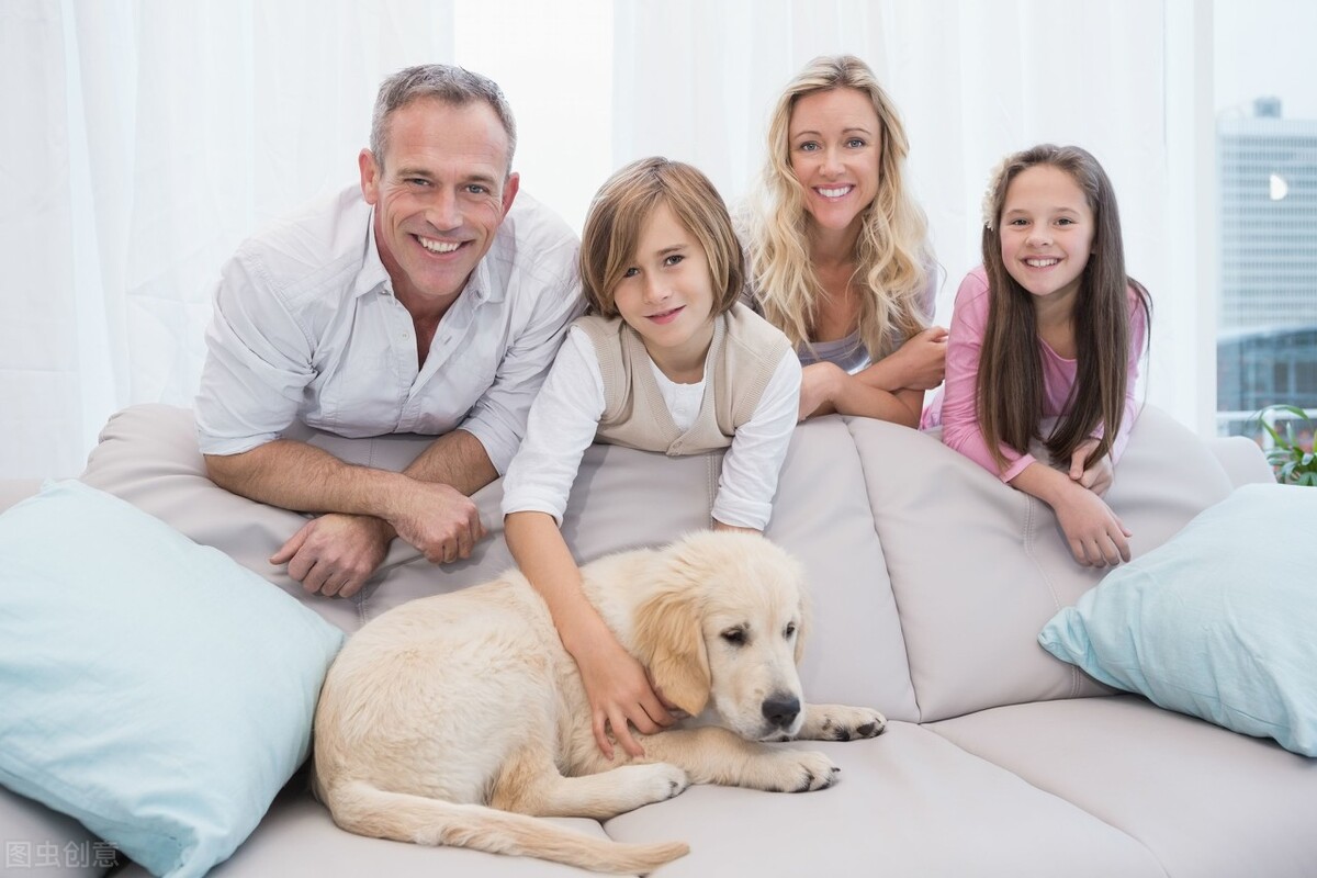 航空托运跨国宠物,各个航空公司宠物托运要求