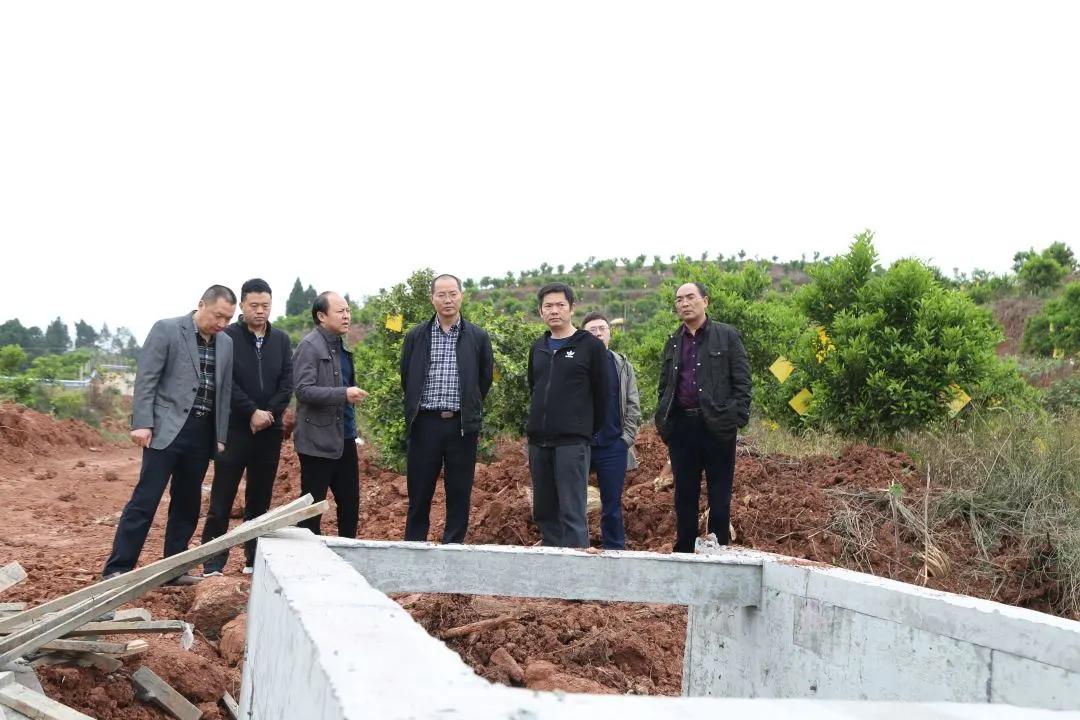 速览时事,井研政讯最新消息