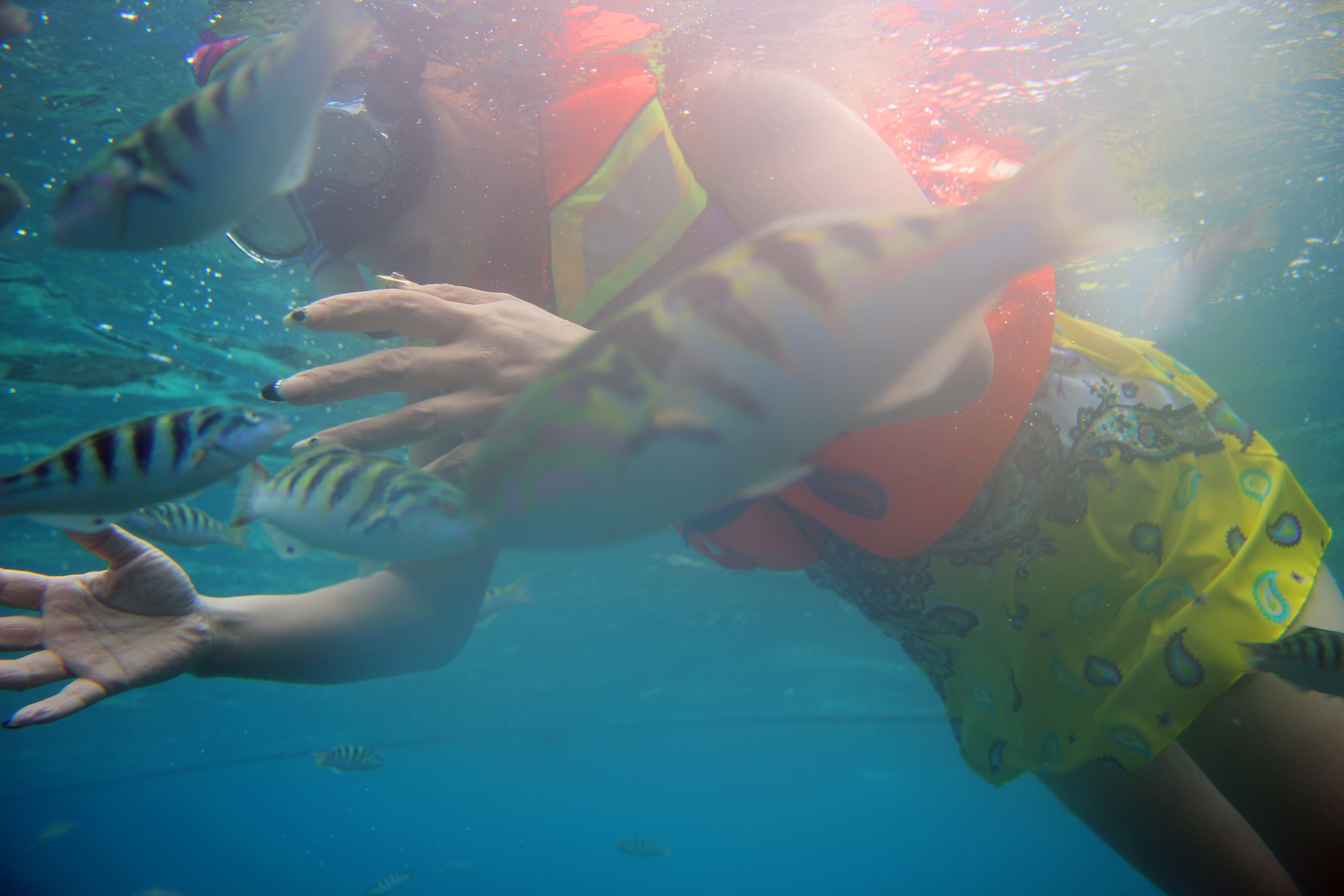 天堂之岛巴厘岛，半自由行攻略和必去景点