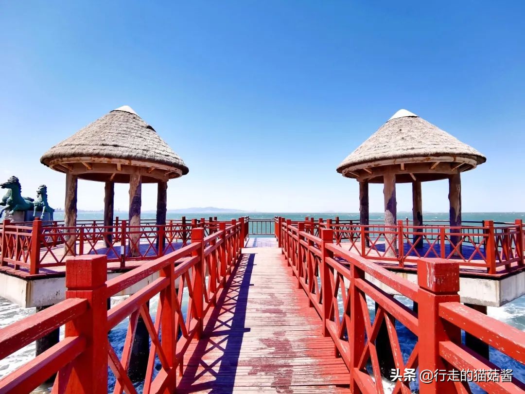 养马岛4a风景区,烟台养马岛景区
