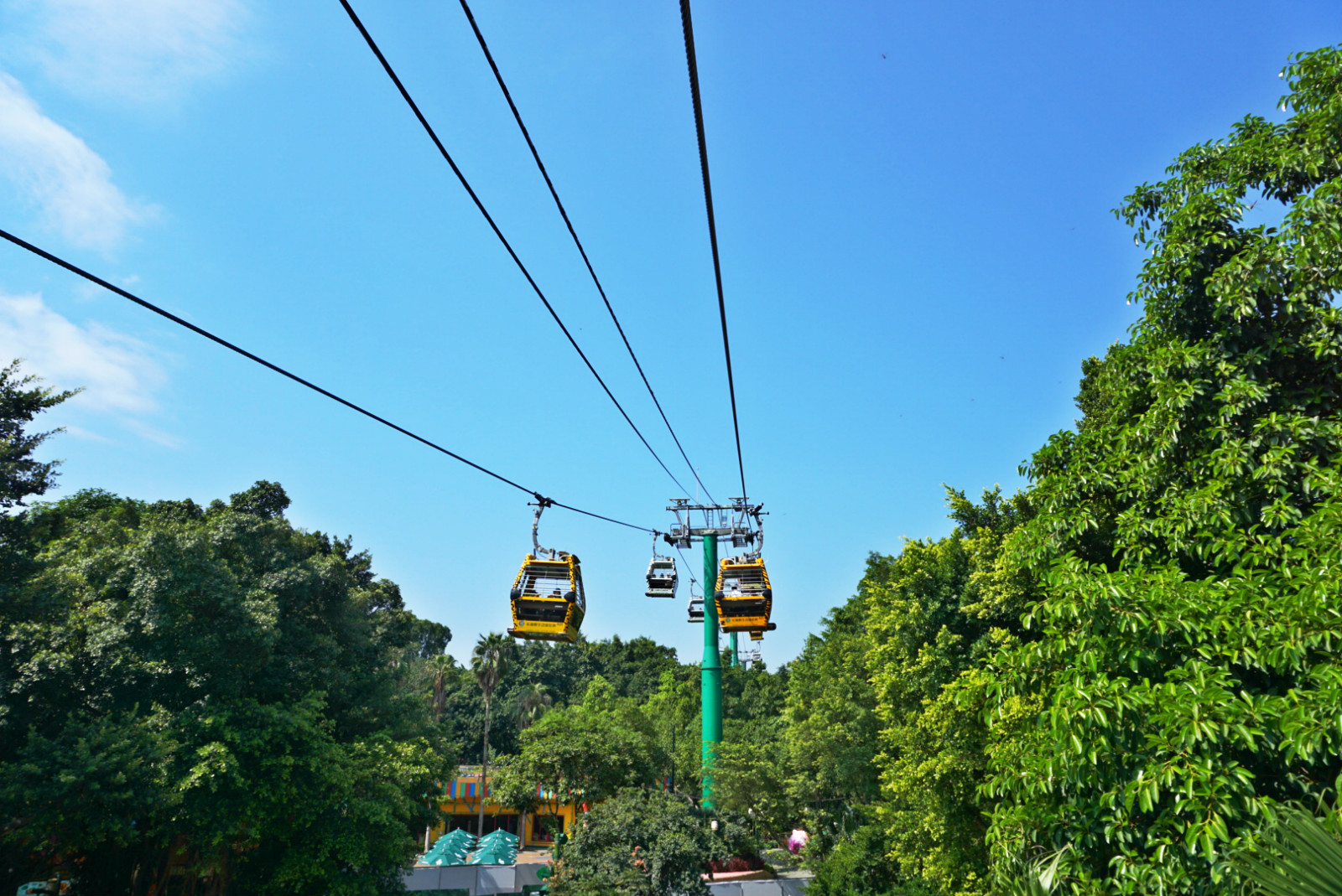 常州恐龙园和珠海长隆哪个好玩,珠海长隆海洋王国好玩吗