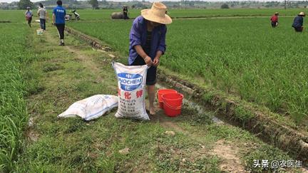 农业种植追肥是值得收藏的顺口溜,钾肥高产有什么作用