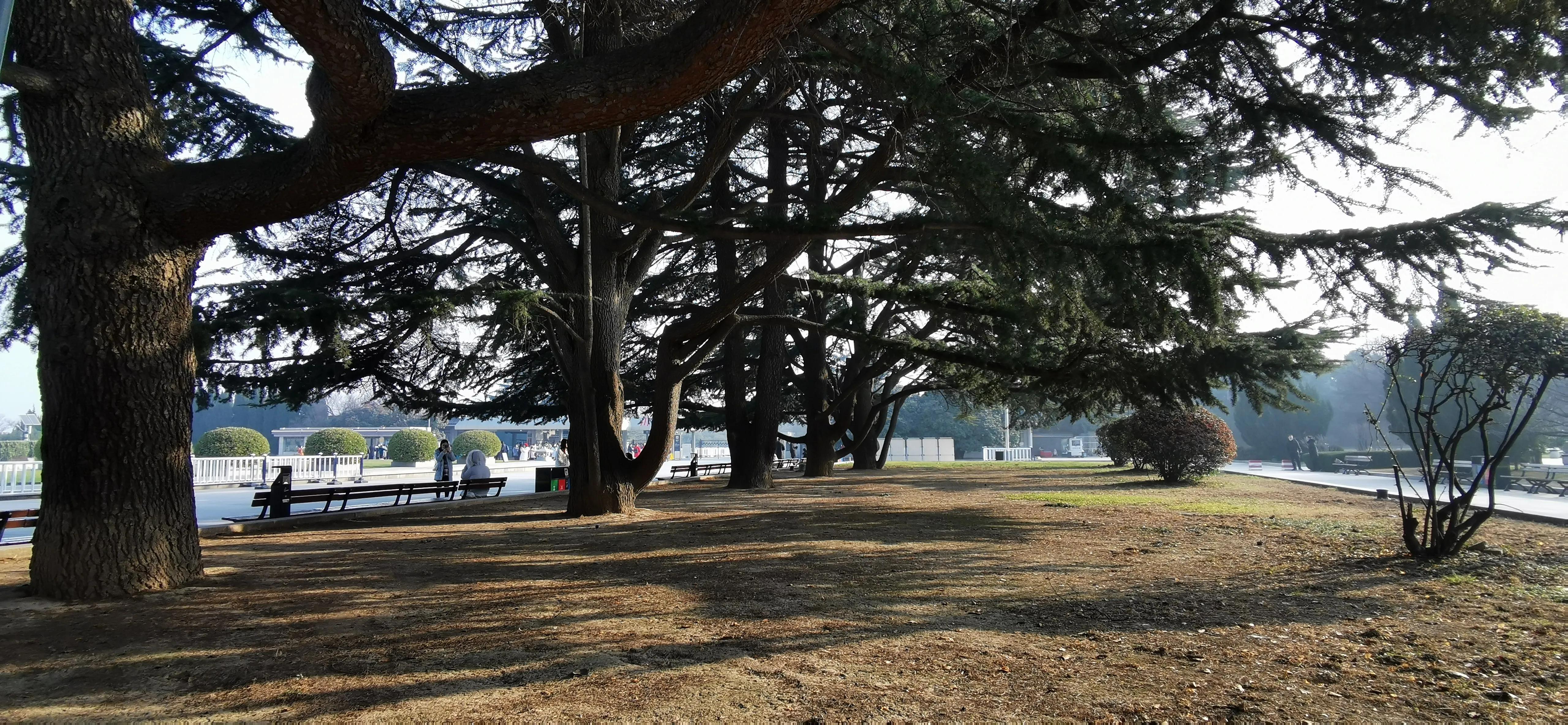 秦始皇陵兵马俑现场有讲解吗,秦始皇陵兵马俑的所在地