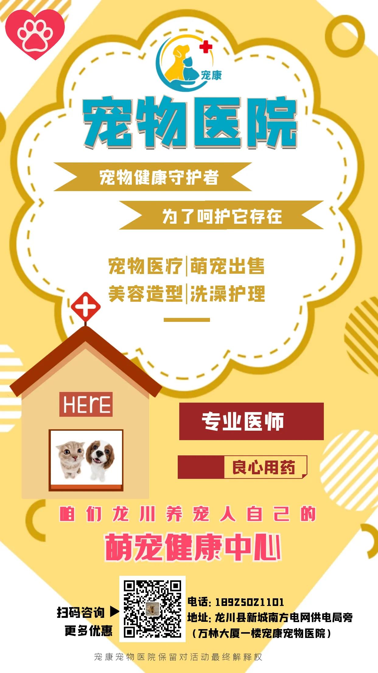 龙川养狗的人,龙川养蛋白虫