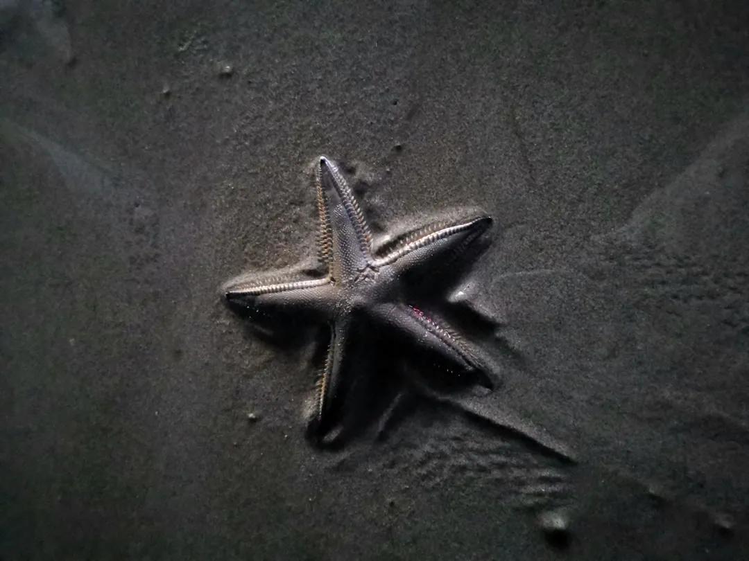 北海涠洲岛一日游玩攻略,广西北海涠洲岛避坑全攻略