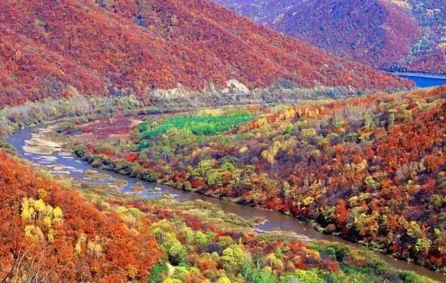 哈尔滨自驾三亚边走边玩最佳路线,哈尔滨到漠河自驾旅游攻略10天