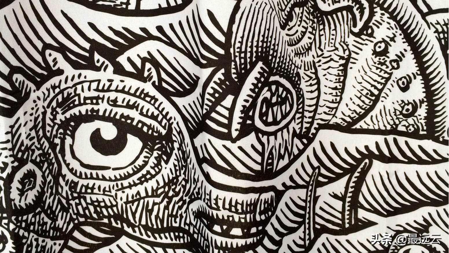 天山南北水怪谜团,水怪真实存在的未解之谜