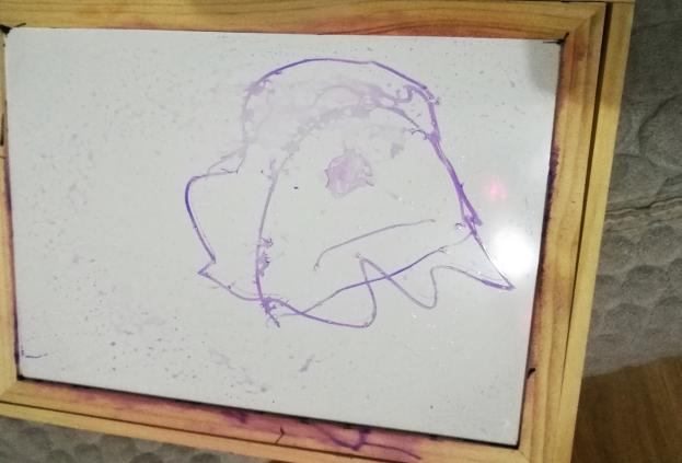 绘画启蒙,8岁绘画入门学什么好