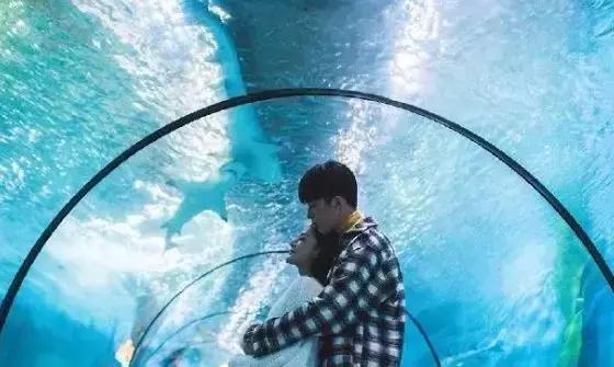 秦皇岛七夕去哪里玩比较浪漫,秦皇岛七夕节大家都去哪