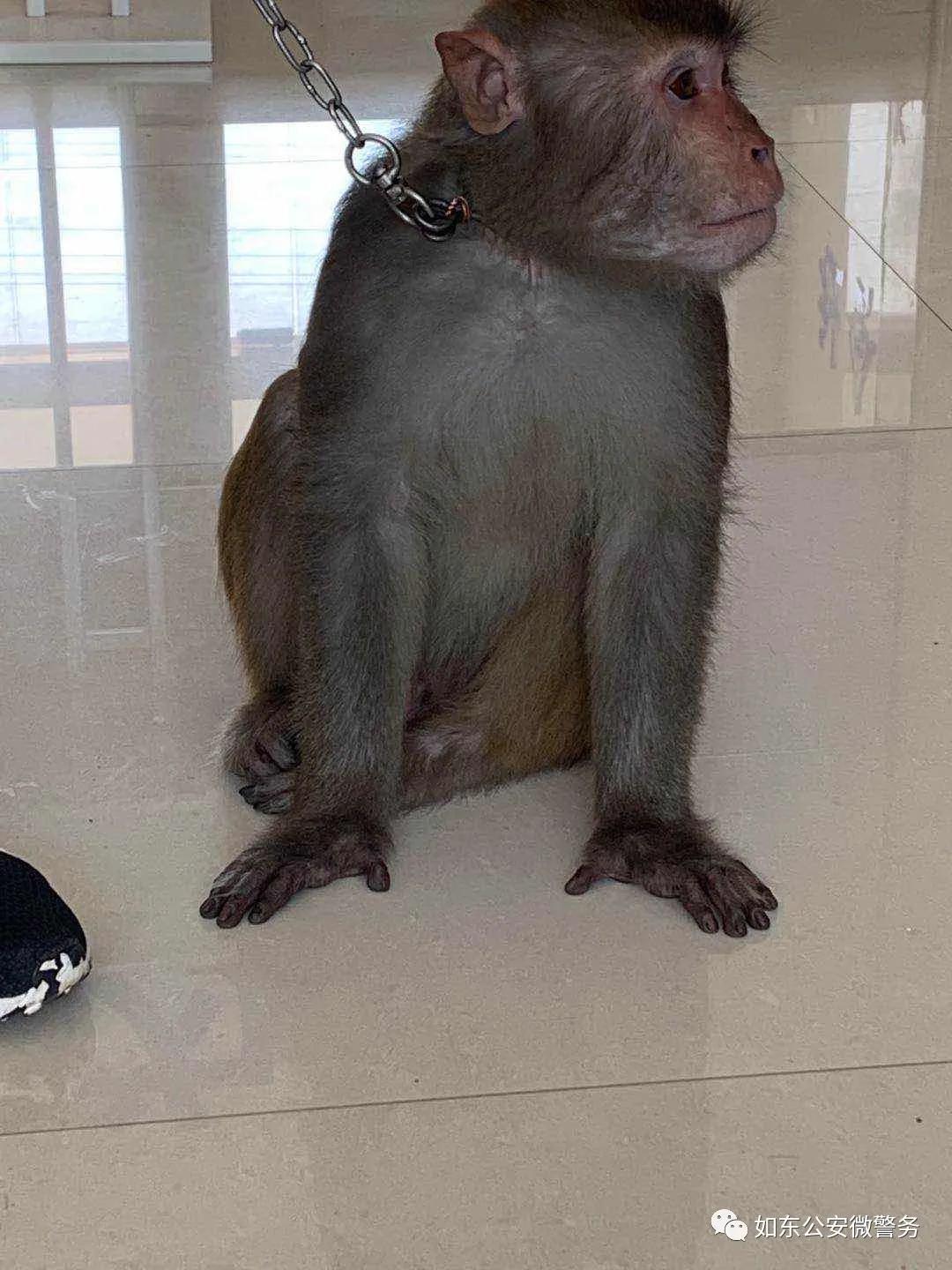 大师兄拯救云天小镇,大师兄解救小师弟