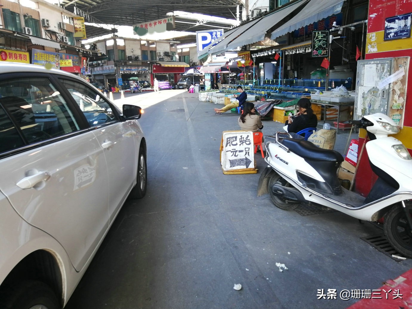广州最优惠的海鲜市场,广州生蚝批发送货上门