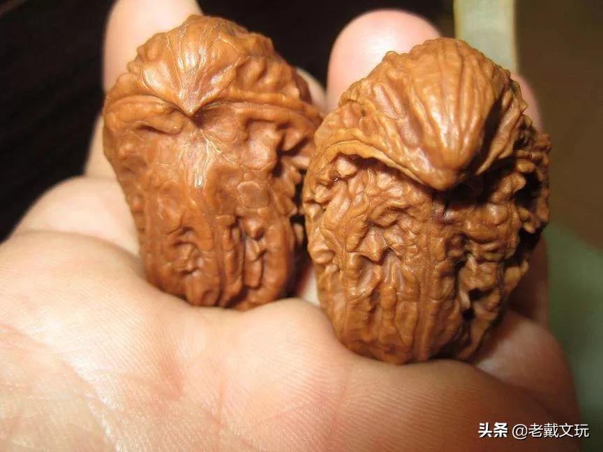 小秋子核桃如何辨别是不是塑料的,秋子核桃的变化过程