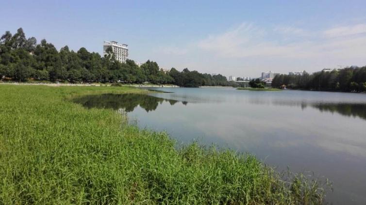 深圳到海南一周自驾游最佳方案,深圳周边旅游景点推荐自驾游