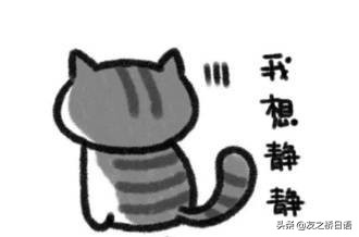 笑掉牙！那些街头日文翻译成的中文，你确定没用谷歌翻译？