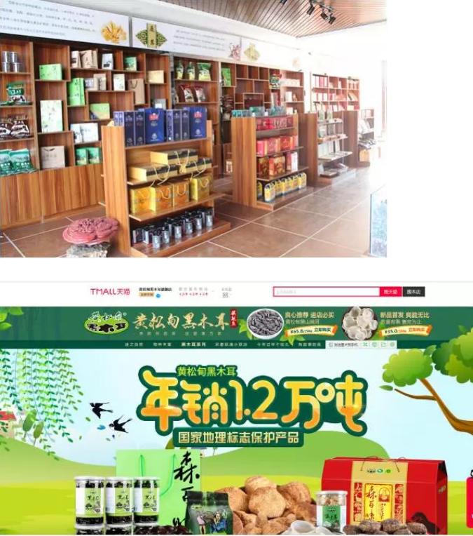 吉林省蛟河市黄松甸镇黑木耳,吉林省黄松甸是黑木耳的著名产地