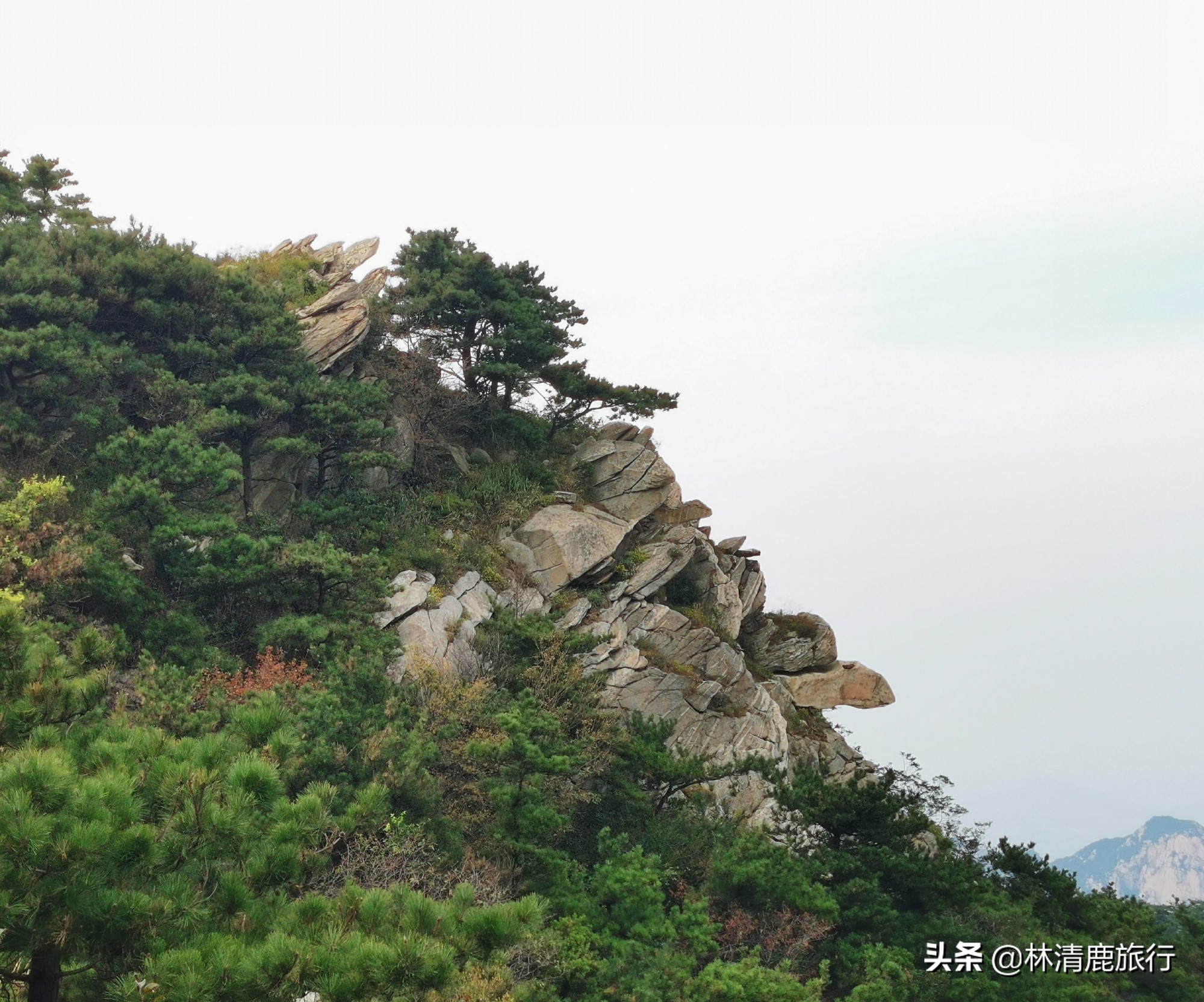 山东最高的山旅游景点,山东天下第一大奇山