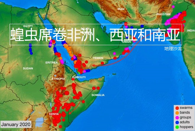 “非洲之角”沙漠蝗虫肆虐,原因或是厄尔尼诺现象使降水异常增加