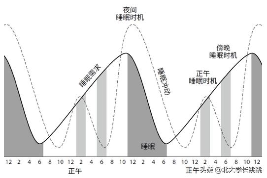 c罗和詹姆斯谁的巅峰期更强,c罗跟詹姆斯谁更自律