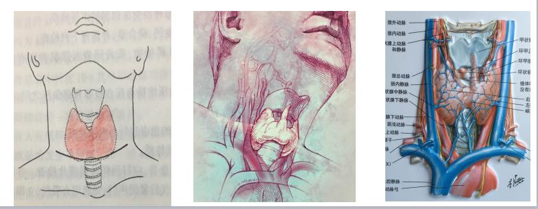 45岁女人声音嘶哑有什么病吗,46岁女突然嗓子哑了有痰吐出困难