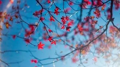 有心同读丨省政协原副主席陈光：虽只是个过客，却细细品尝了菏泽味道