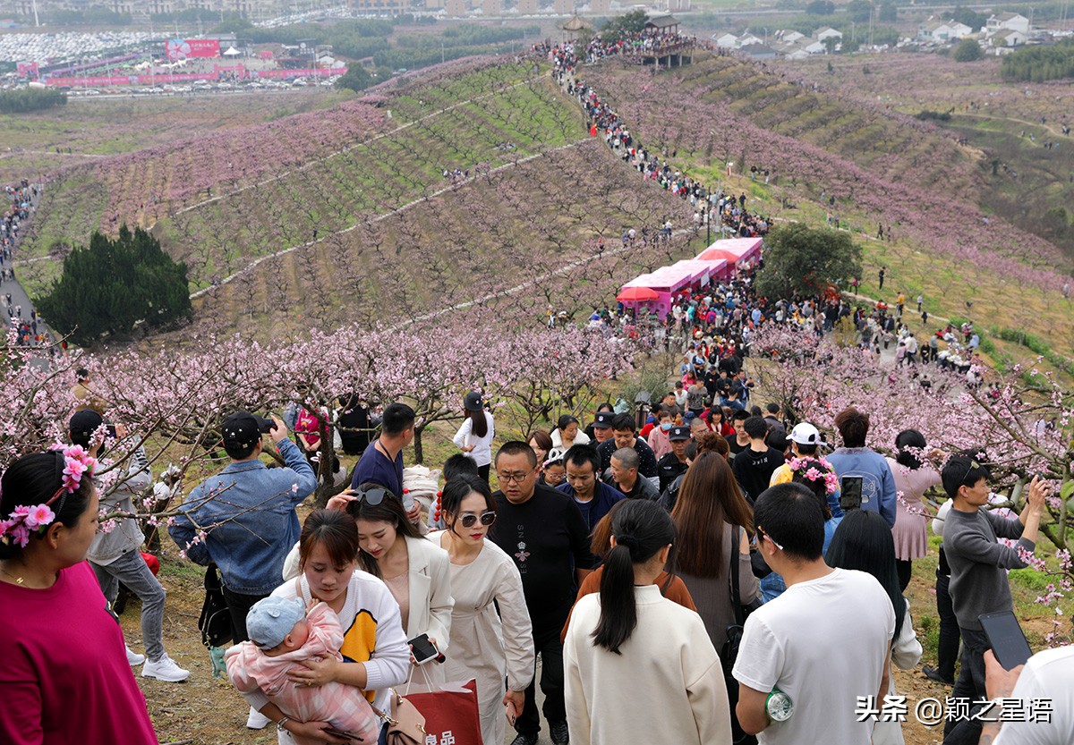天下第一桃花源风景区,天下第一桃园图片