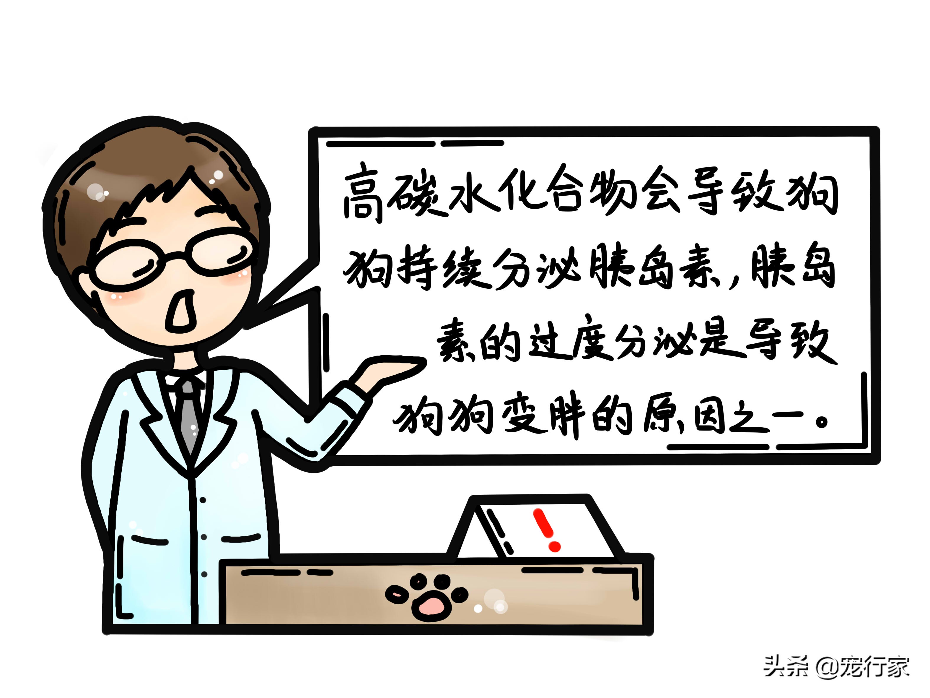 狗粮中隐藏的糖分，是影响狗狗健康的敌人！狗粮对狗真的很好吗？