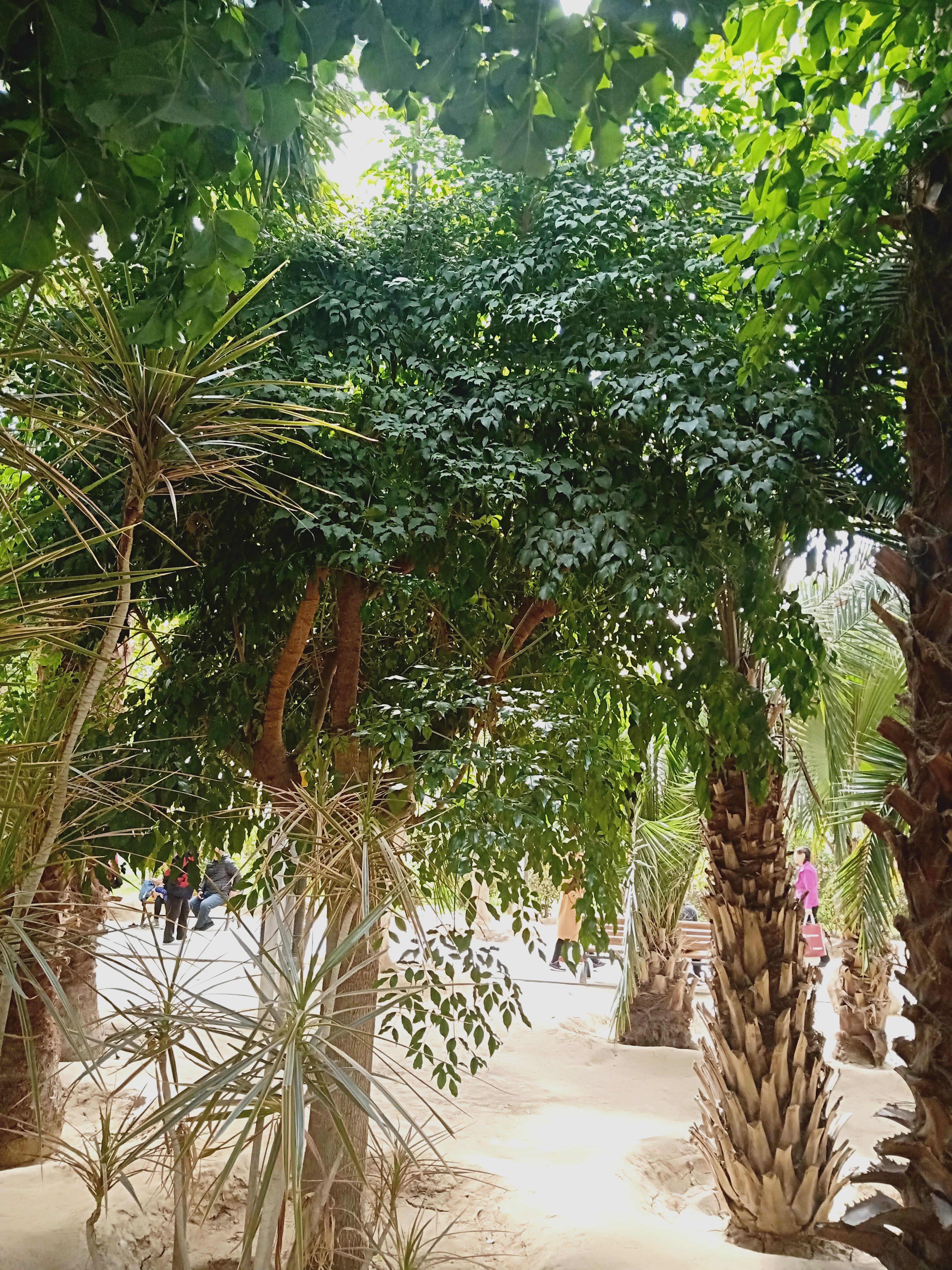 廊坊九天谷休闲景区,廊坊九天休闲谷好玩吗