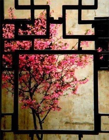 身为华夏子孙,百家姓的故事你不得不知