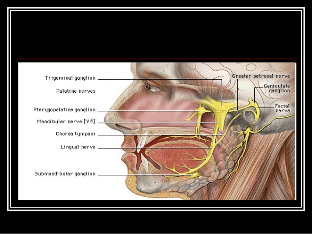 冷风导致的面瘫嘴歪,从中医角度看待面瘫嘴歪