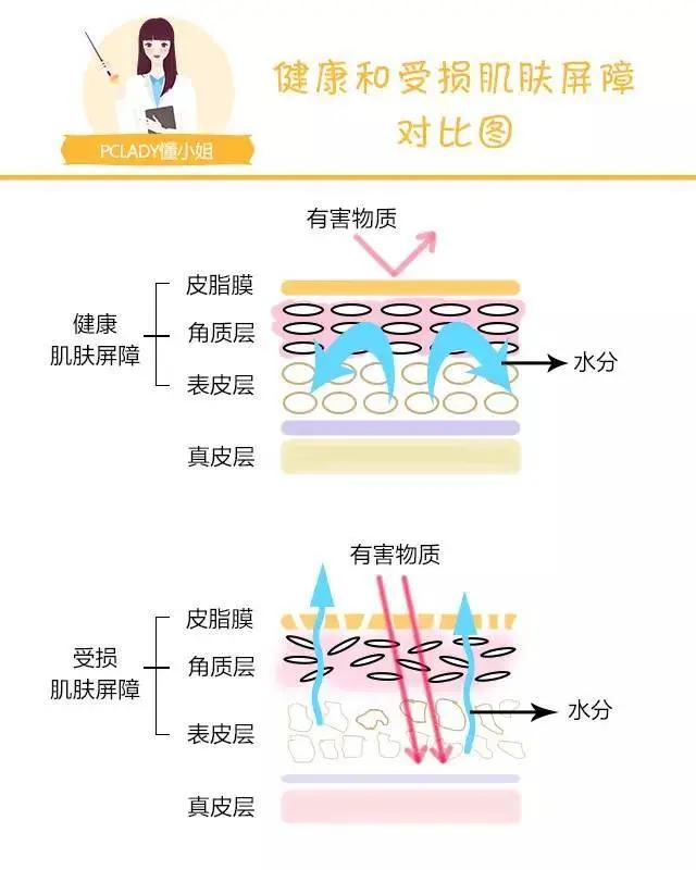 敏感肌肤修复最难的方法,春季预防敏感肌肤小技巧