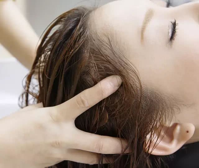 山茶油天峨,山茶油巴马