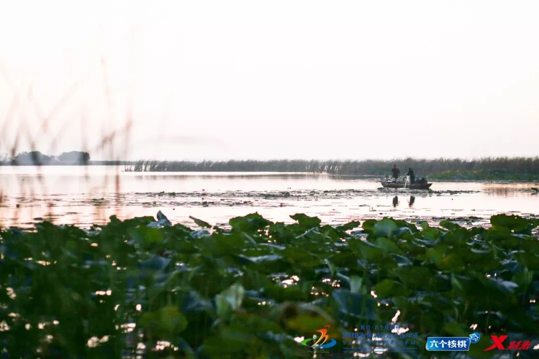 全球13场白金标马拉松赛事,四个国际承认的马拉松金标赛事