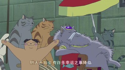 猫的报恩,猫的报恩怎么样