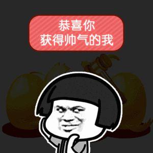 wildfieldhealth牌子如何,wildfieldhealthcare