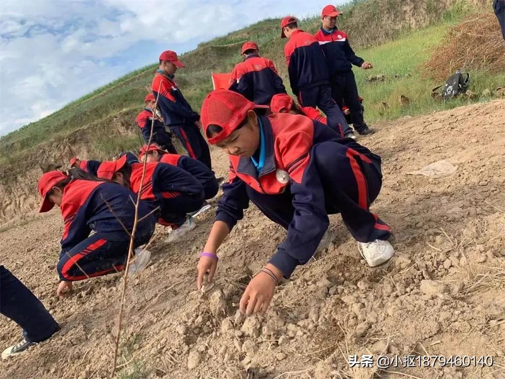 李锋教育视频全集,李锋教育跨年视频