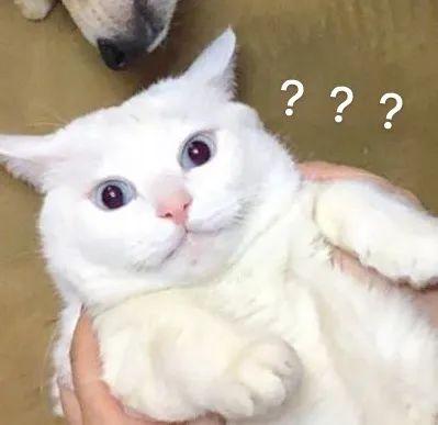 港股打新上市三天,内地怎么操作港股打新