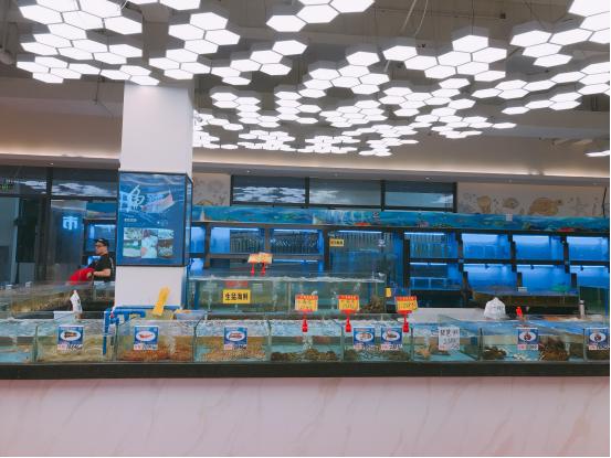 开始美丽的际遇dj版,开始美丽的际遇原唱