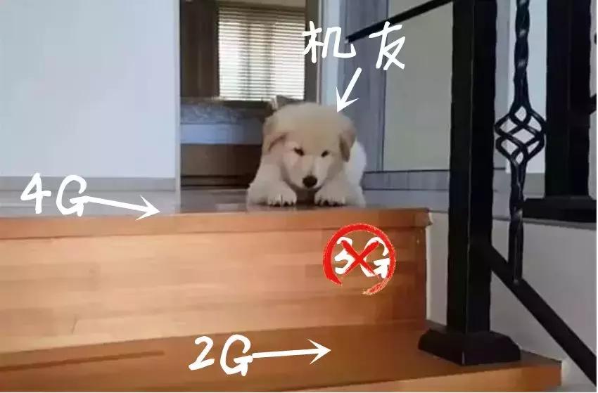 电信停用3g手机还能用吗,3g手机退网对用户有什么影响